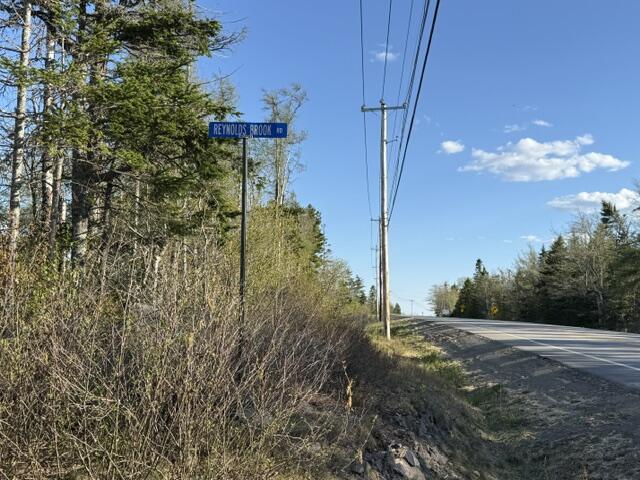 Lot 009 Off Of Reynolds Brook Road Whiting ME 04691