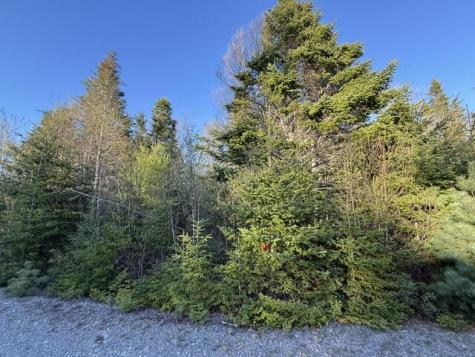 Lot 009 Off Of Reynolds Brook Road Whiting ME 04691