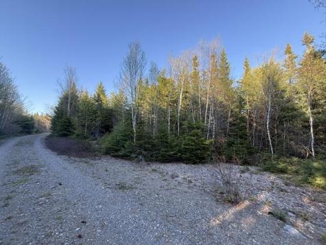 Lot 009 Off Of Reynolds Brook Road Whiting ME 04691