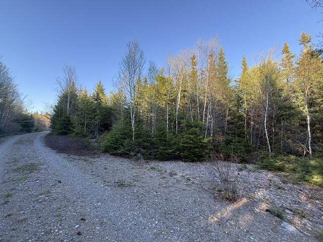 Lot 009 Off Of Reynolds Brook Road Whiting ME 04691
