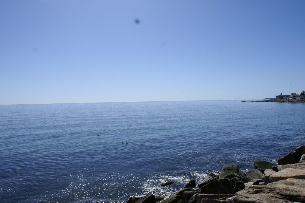 0 Gold Ribbon Drive Wells, ME