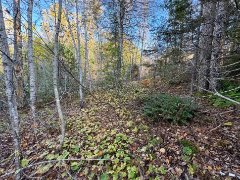 Lot 2.2 Belyea Road Edmunds Twp ME 04628