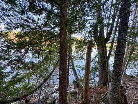 Lot 2.2 Belyea Road Edmunds Twp ME 04628