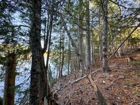 Lot 2.2 Belyea Road Edmunds Twp ME 04628