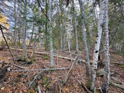 Lot 2.2 Belyea Road Edmunds Twp ME 04628