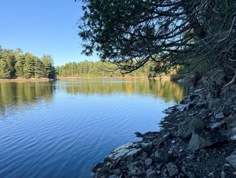 Lot 2.2 Belyea Road Edmunds Twp ME 04628