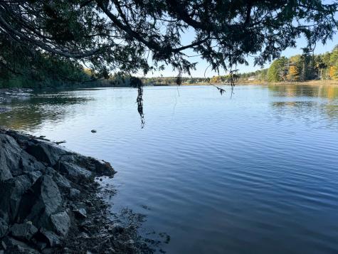 Lot 2.2 Belyea Road Edmunds Twp ME 04628