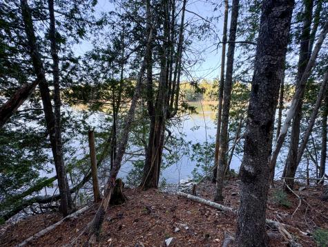 Lot 2.2 Belyea Road Edmunds Twp ME 04628