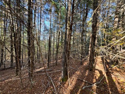 Lot 2.2 Belyea Road Edmunds Twp ME 04628