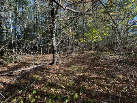 Lot 2.2 Belyea Road Edmunds Twp ME 04628