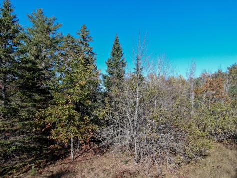 Lot 2.2 Belyea Road Edmunds Twp ME 04628