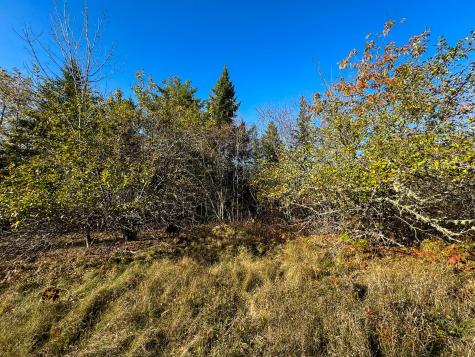 Lot 2.2 Belyea Road Edmunds Twp ME 04628