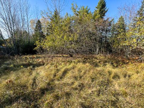 Lot 2.2 Belyea Road Edmunds Twp ME 04628