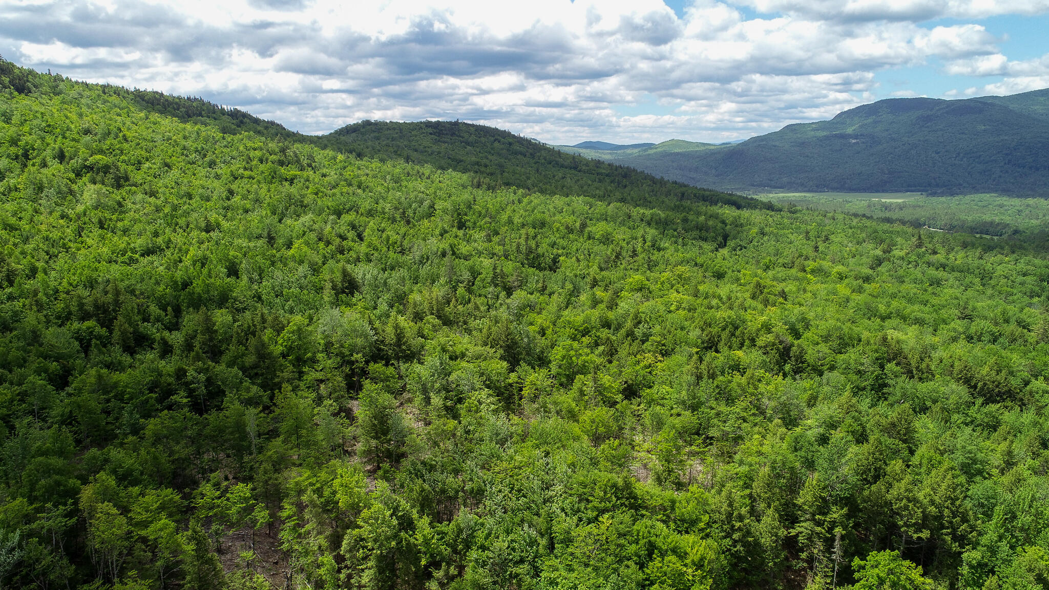 Map 402 Lot 8 Road Rumford ME 04276