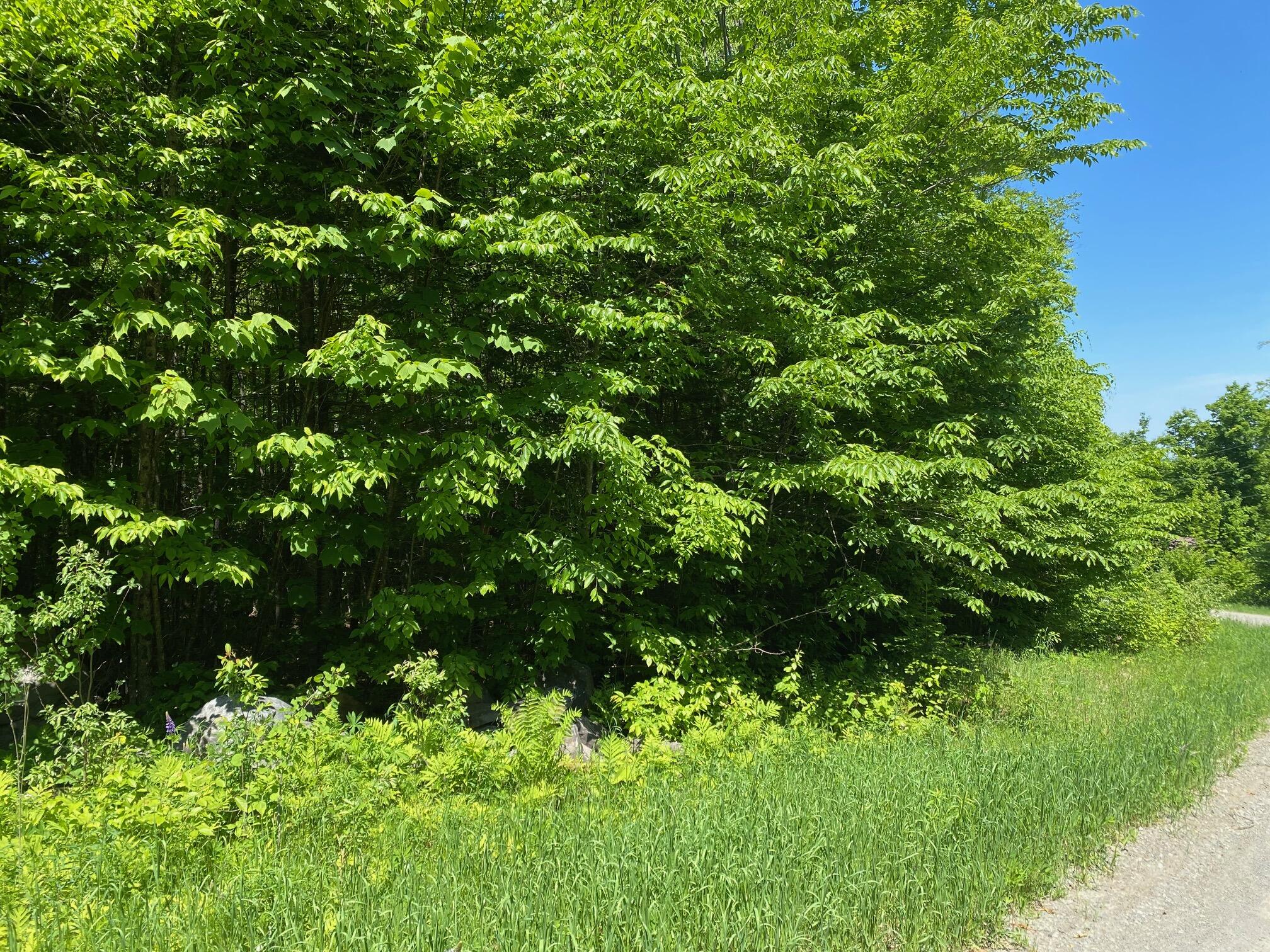 12a 2 Bay View Drive Greenville ME 04441