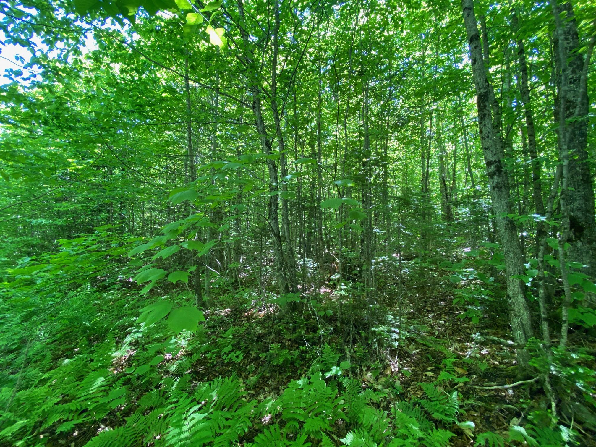 12a 2 Bay View Drive Greenville ME 04441