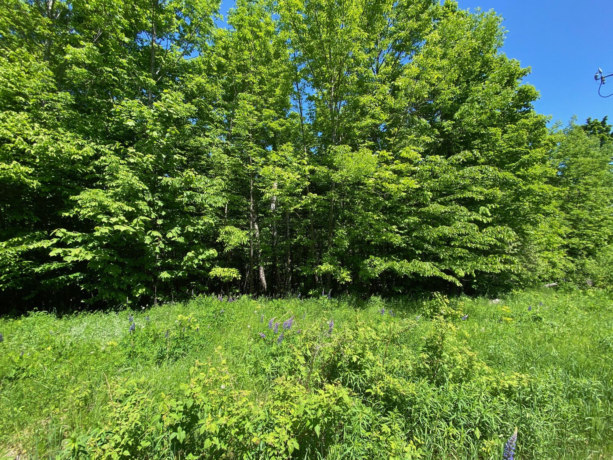 12a 2 Bay View Drive Greenville ME 04441