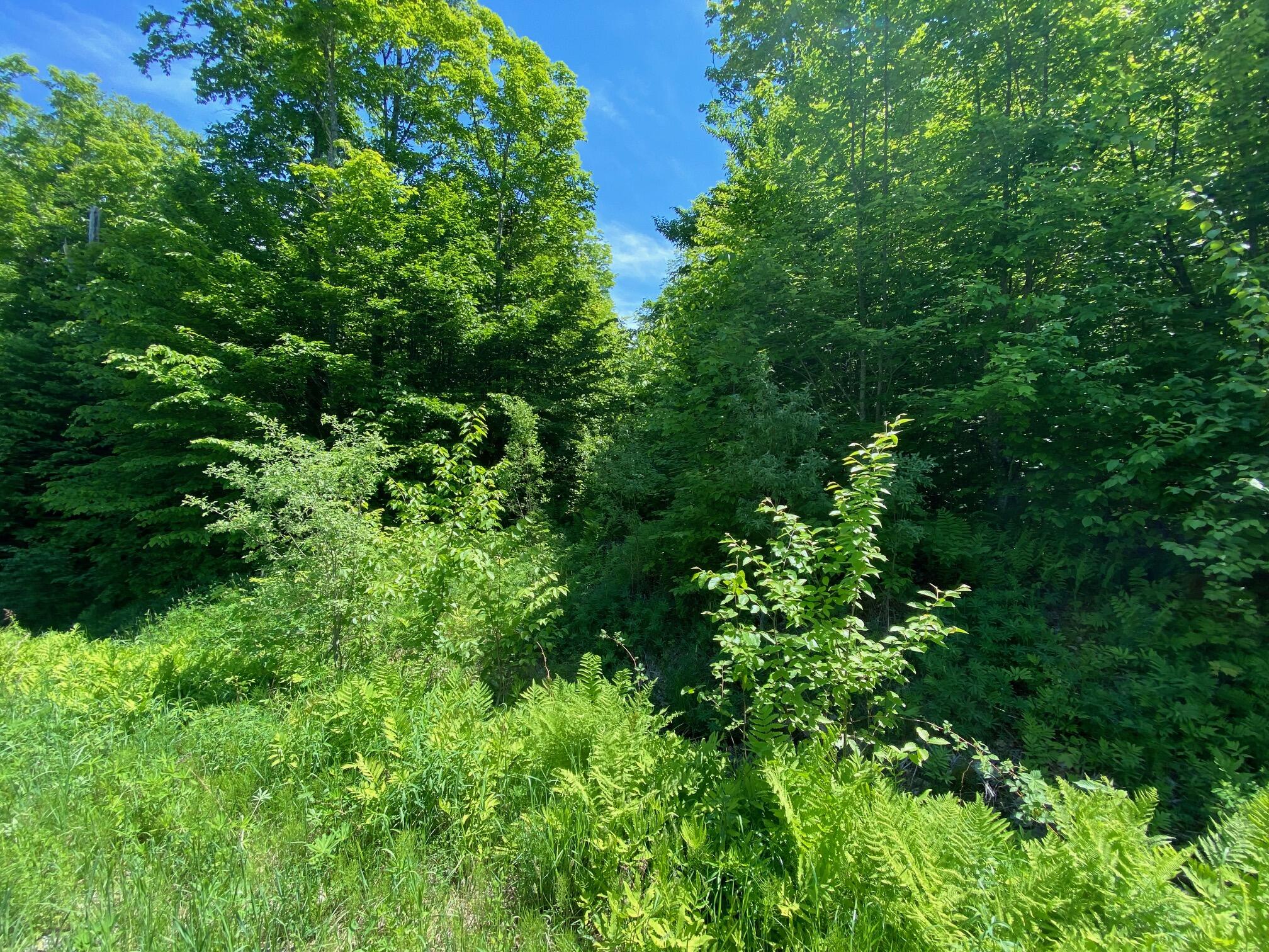 12a 2 Bay View Drive Greenville ME 04441