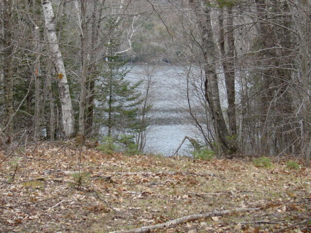 Lot 76.3 23 Acres Off Long Falls Dam Road Lexington Twp ME 04961