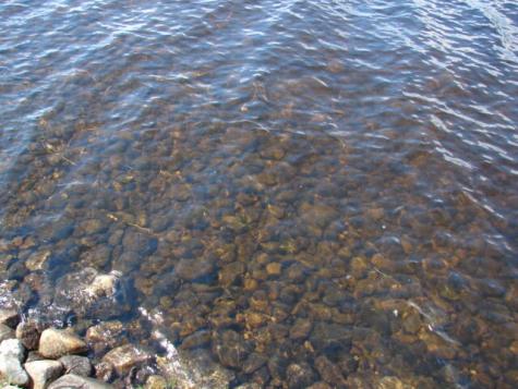 Lot 76.3 23 Acres Off Long Falls Dam Road Lexington Twp ME 04961