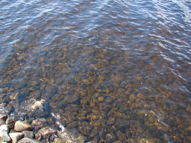 Lot 76.3 23 Acres Off Long Falls Dam Road Lexington Twp ME 04961