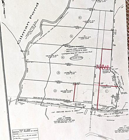 Lot 76.3 23 Acres Off Long Falls Dam Road Lexington Twp ME 04961