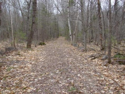 Lot 76.3 23 Acres Off Long Falls Dam Road Lexington Twp ME 04961