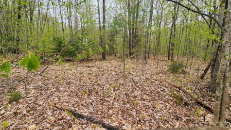 Lot 019 Olivewood Circle Wilton ME 04294