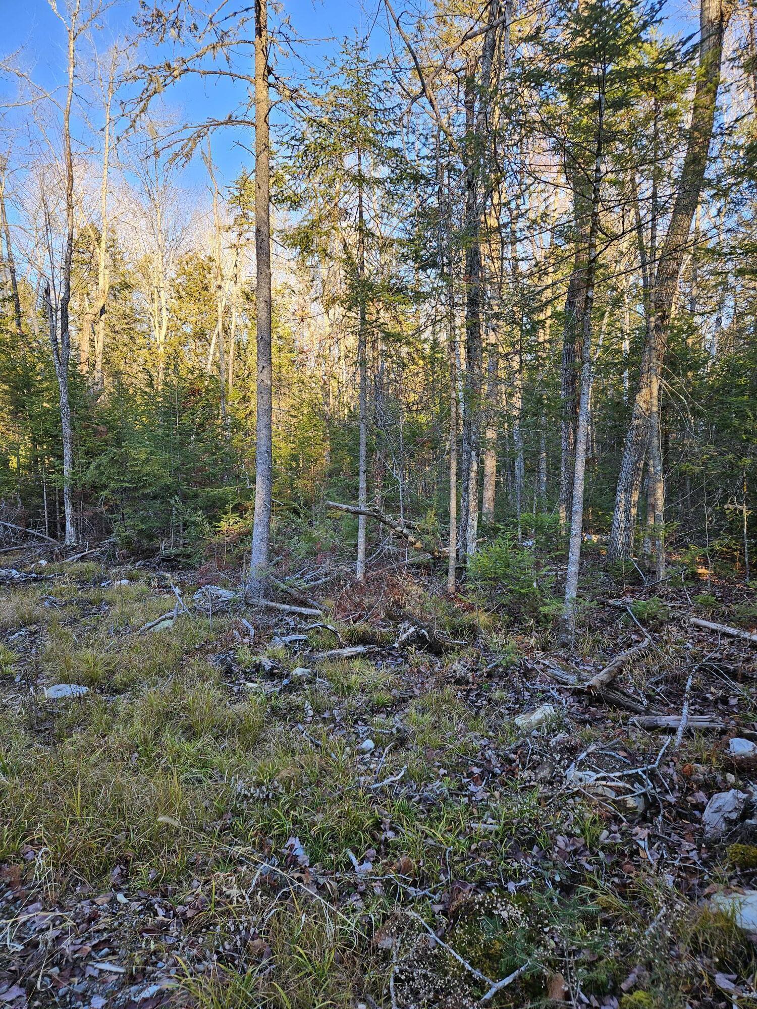 199 Poplar Street Old Town ME 04468