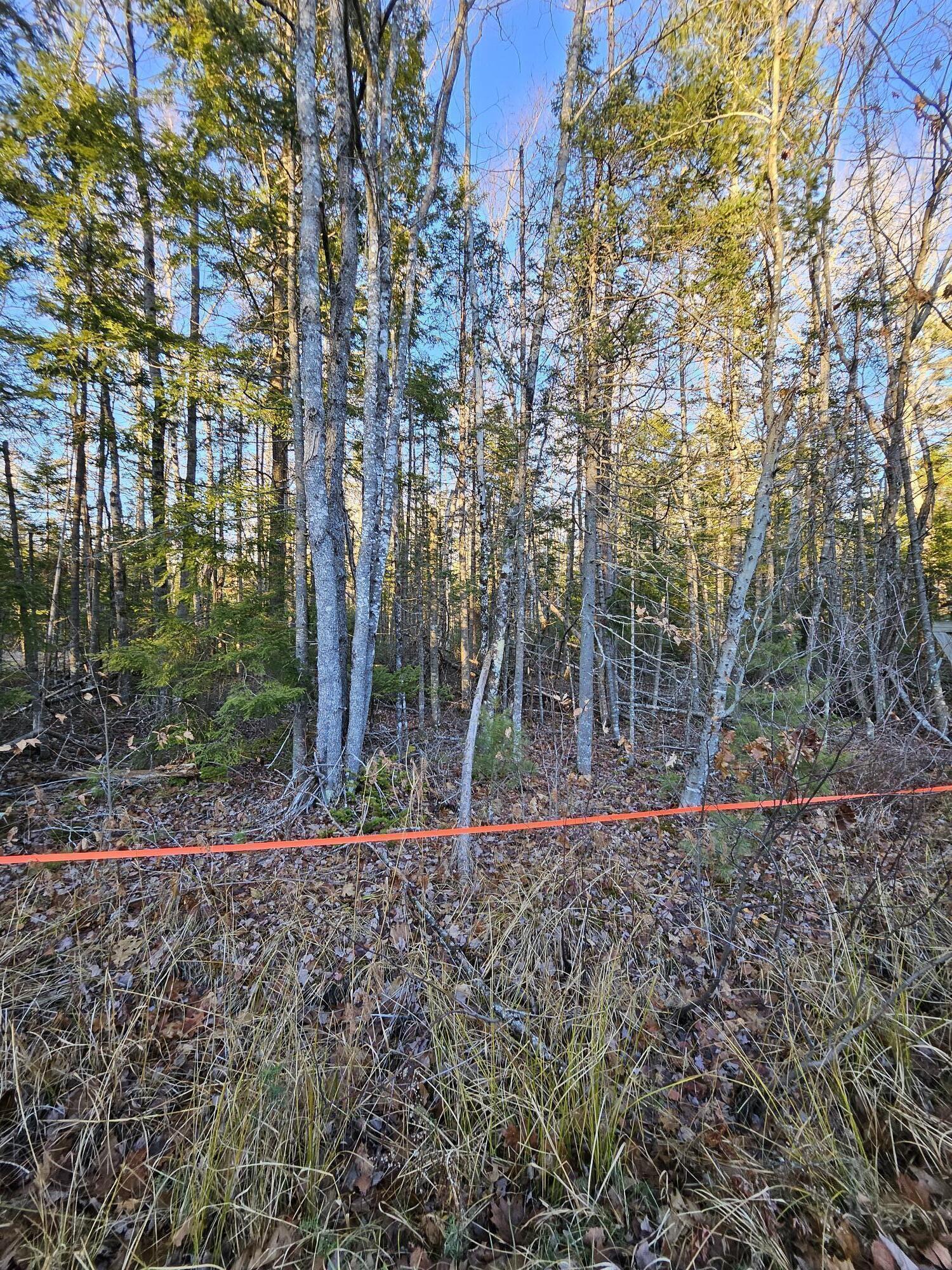 199 Poplar Street Old Town ME 04468