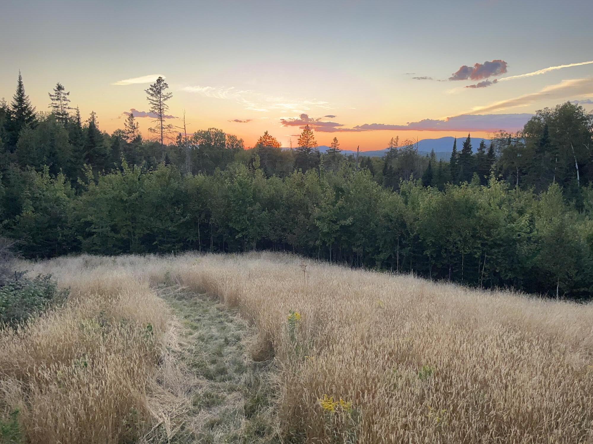 620 Dallas Hill Road Dallas Plt ME 04970