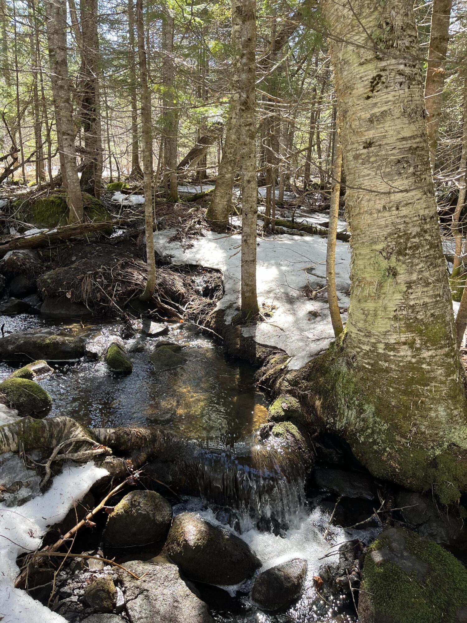 620 Dallas Hill Road Dallas Plt ME 04970