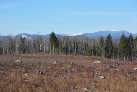 0 French Hill Road Albany Twp ME 04217