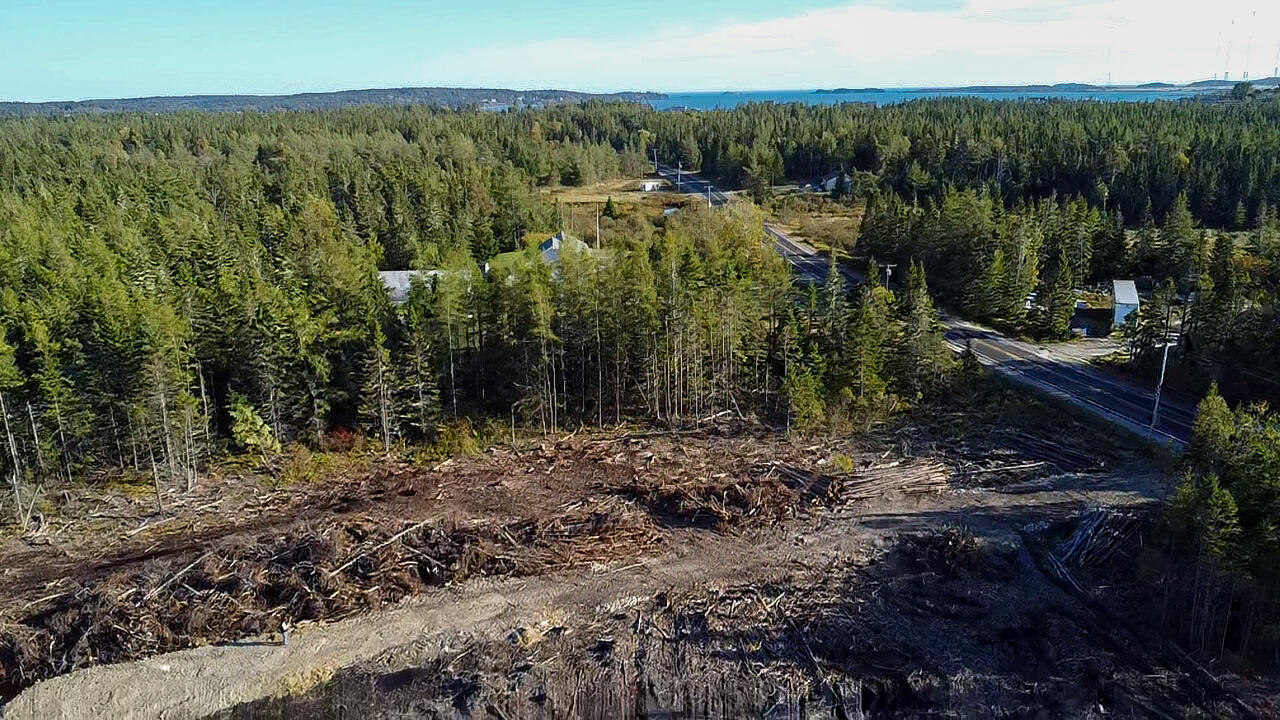 Map 06 Lots #16, 16-2, 16-3 Cutler Road Cutler ME 04626