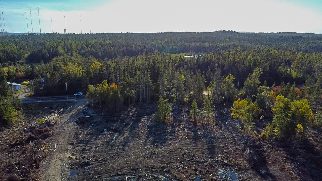 Map 06 Lots #16, 16-2, 16-3 Cutler Road Cutler ME 04626