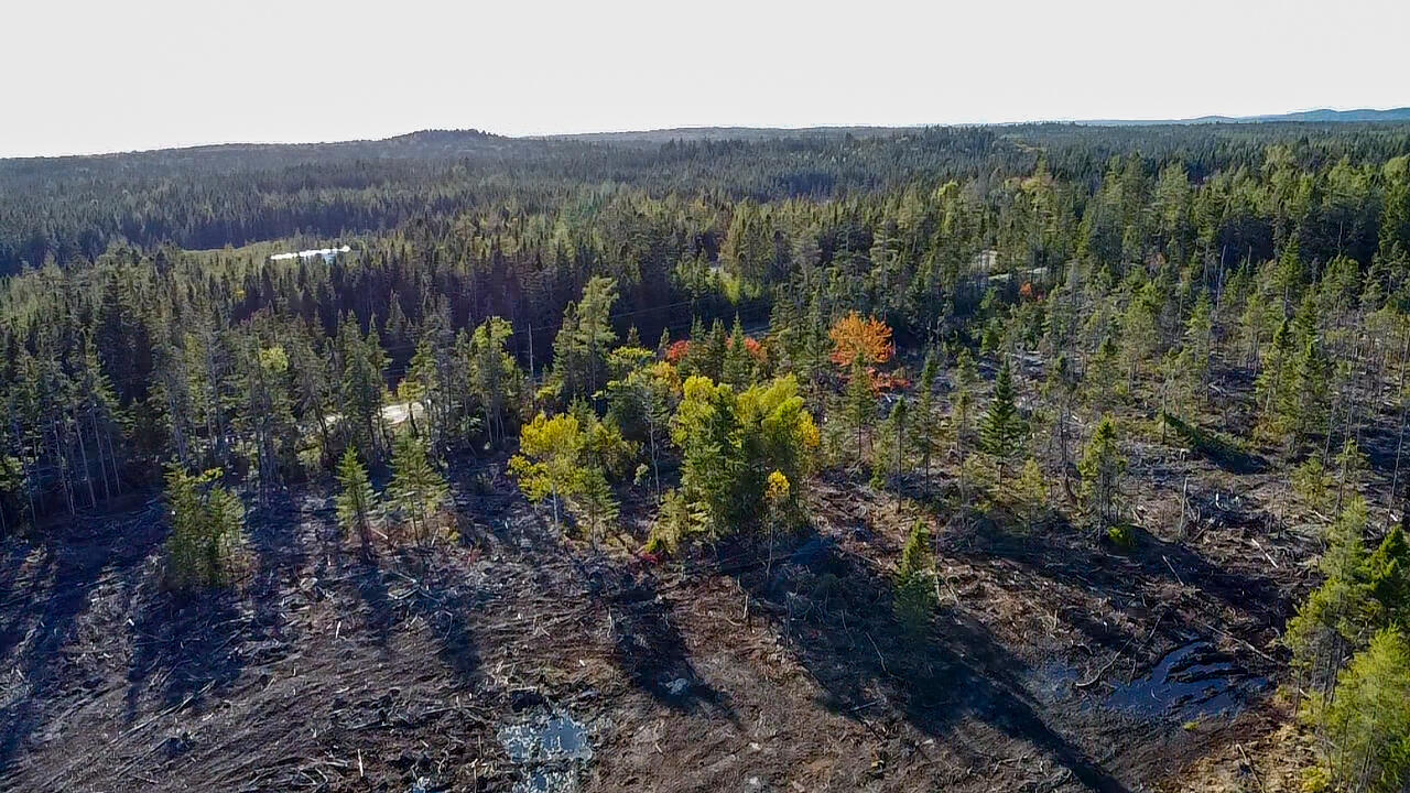 Map 06 Lots #16, 16-2, 16-3 Cutler Road Cutler ME 04626