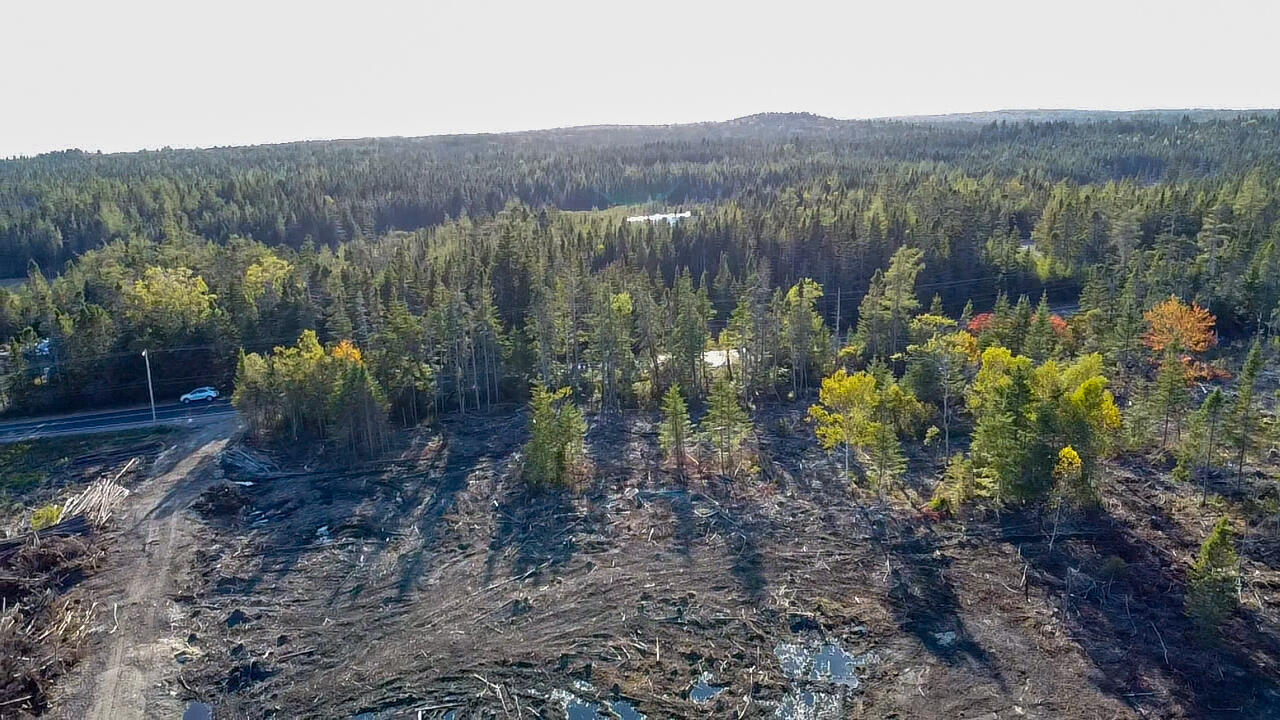 Map 06 Lots #16, 16-2, 16-3 Cutler Road Cutler ME 04626