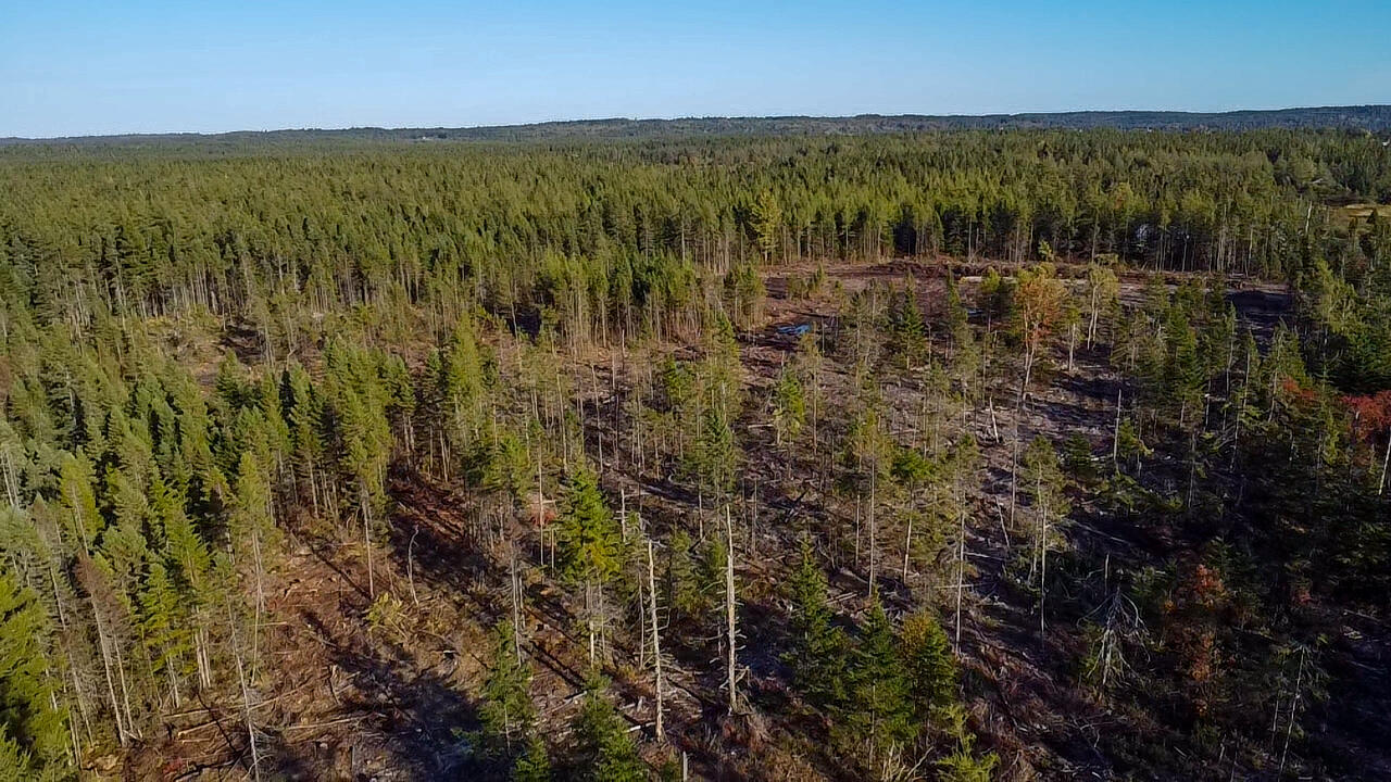 Map 06 Lots #16, 16-2, 16-3 Cutler Road Cutler ME 04626