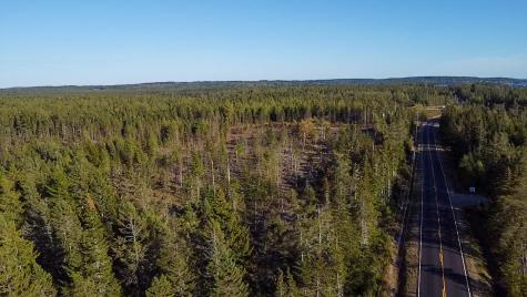 Map 06 Lots #16, 16-2, 16-3 Cutler Road Cutler ME 04626