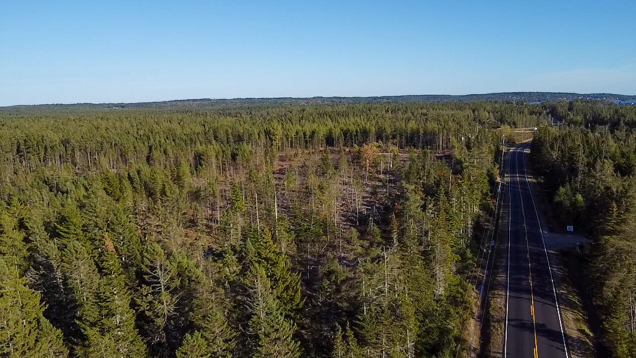 Map 06 Lots #16, 16-2, 16-3 Cutler Road Cutler ME 04626