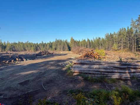 Map 06 Lots #16, 16-2, 16-3 Cutler Road Cutler ME 04626