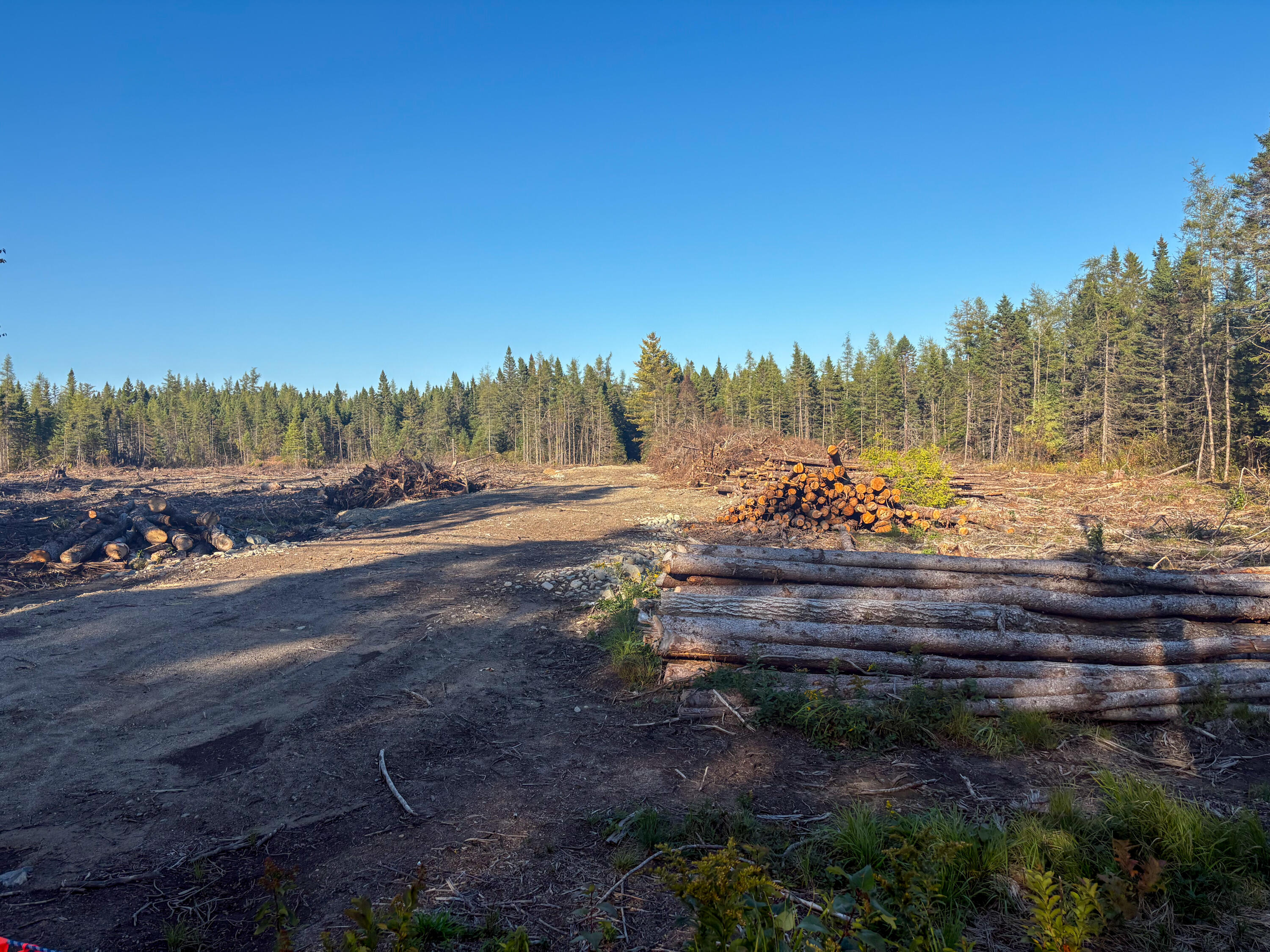 Map 06 Lots #16, 16-2, 16-3 Cutler Road Cutler ME 04626