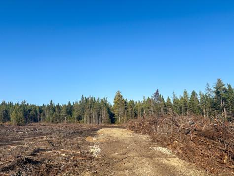 Map 06 Lots #16, 16-2, 16-3 Cutler Road Cutler ME 04626