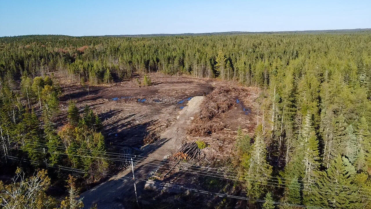 Map 06 Lots #16, 16-2, 16-3 Cutler Road Cutler ME 04626