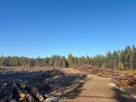 Map 06 Lots #16, 16-2, 16-3 Cutler Road Cutler ME 04626