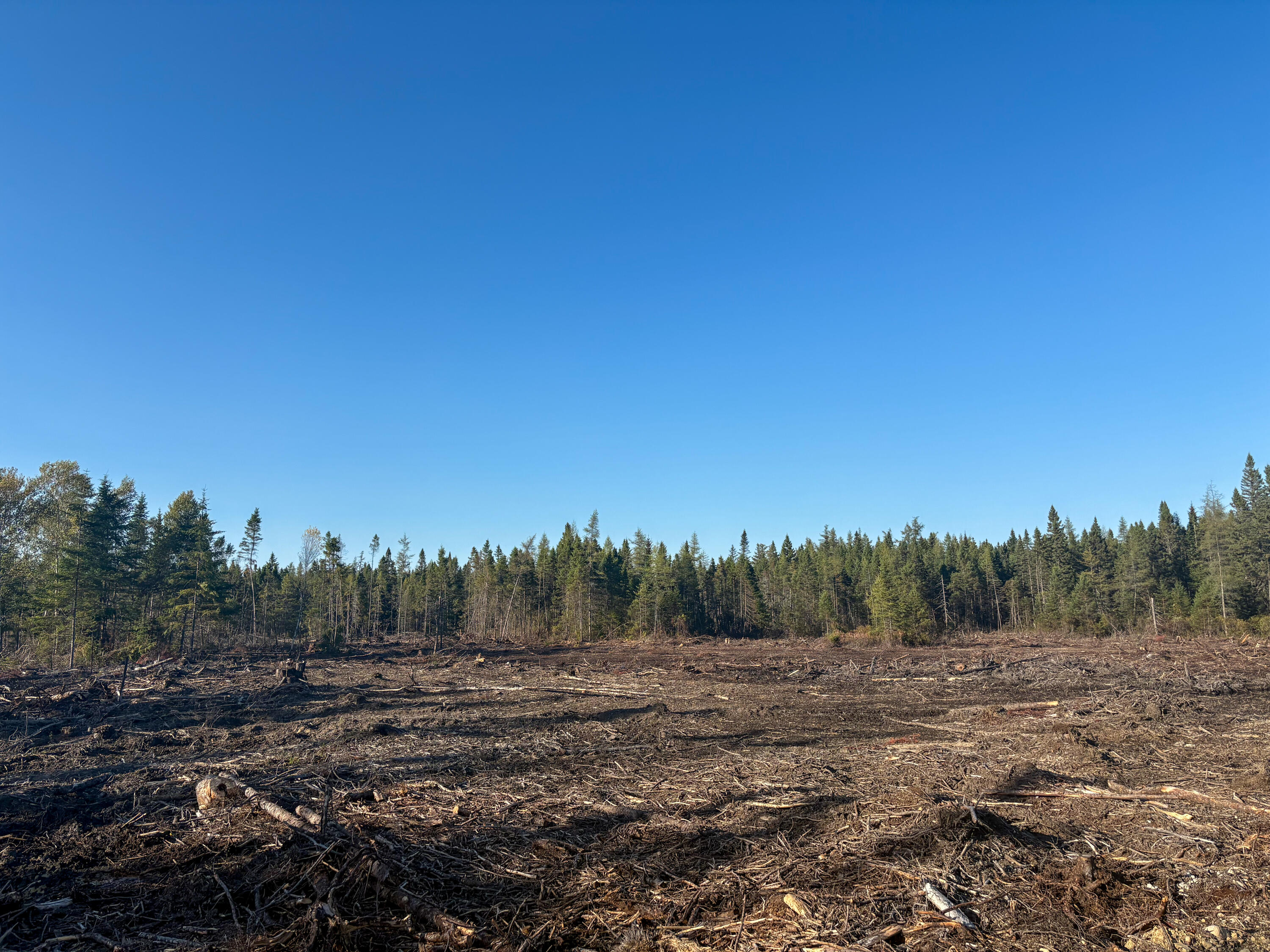 Map 06 Lots #16, 16-2, 16-3 Cutler Road Cutler ME 04626