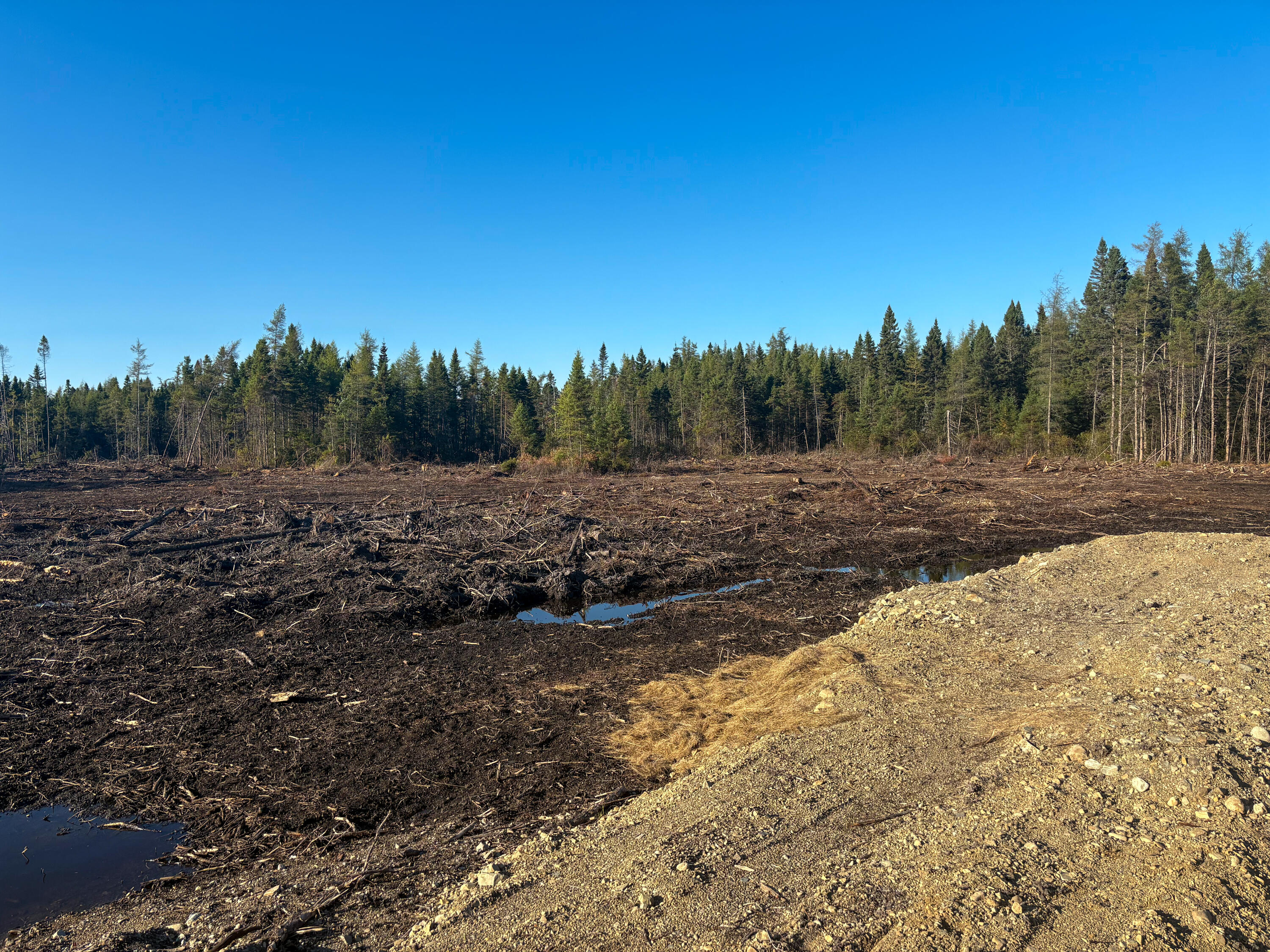 Map 06 Lots #16, 16-2, 16-3 Cutler Road Cutler ME 04626