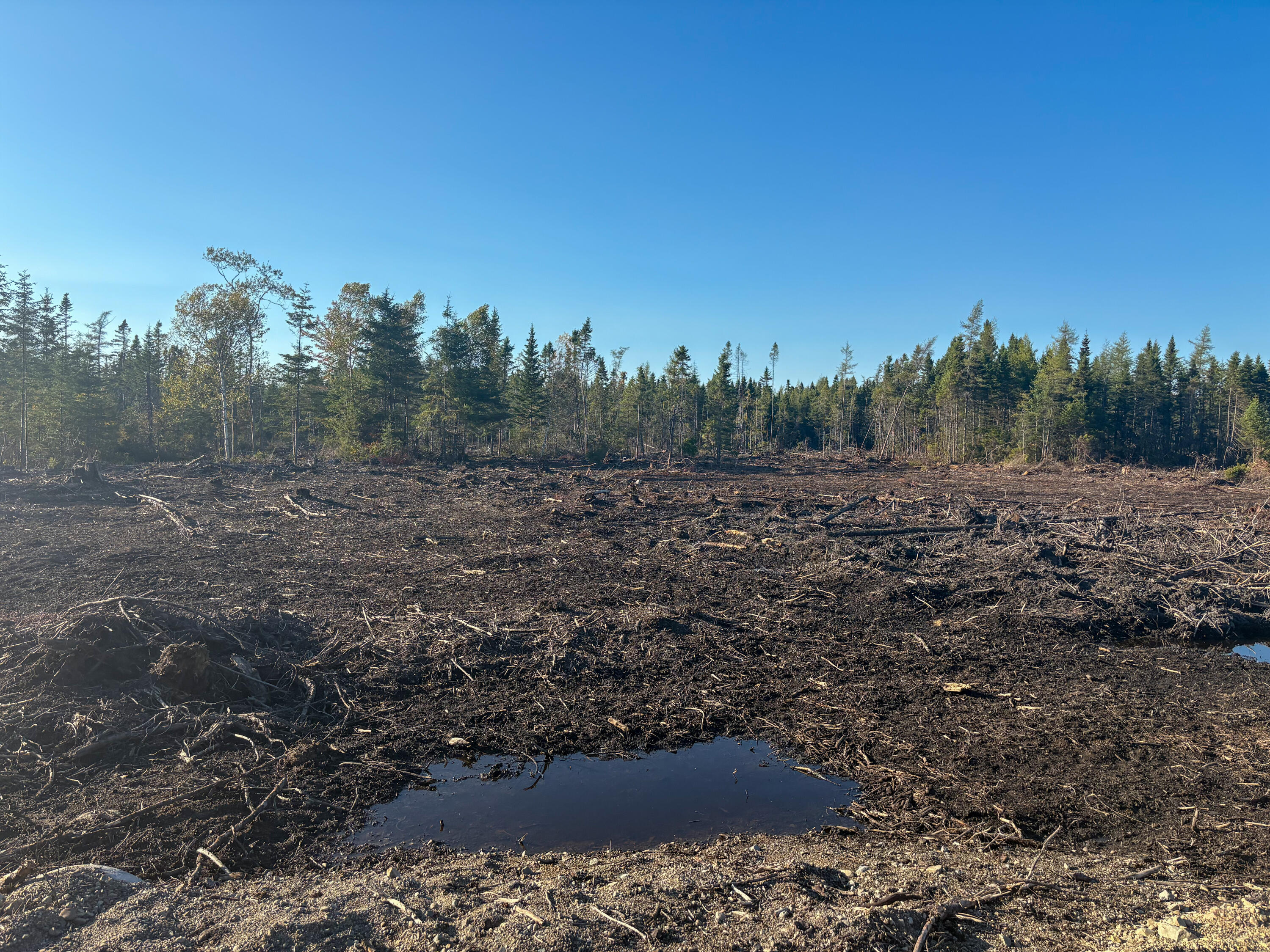 Map 06 Lots #16, 16-2, 16-3 Cutler Road Cutler ME 04626