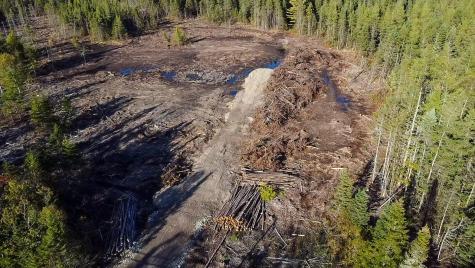 Map 06 Lots #16, 16-2, 16-3 Cutler Road Cutler ME 04626