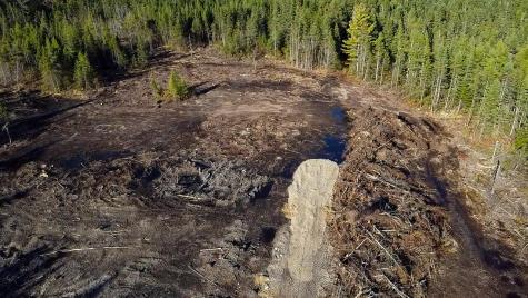 Map 06 Lots #16, 16-2, 16-3 Cutler Road Cutler ME 04626